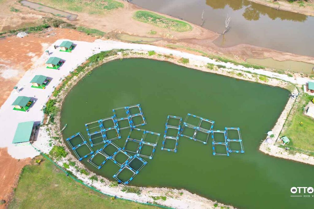 Éco-ferme de Lokoli : une oasis au cœur du Poro